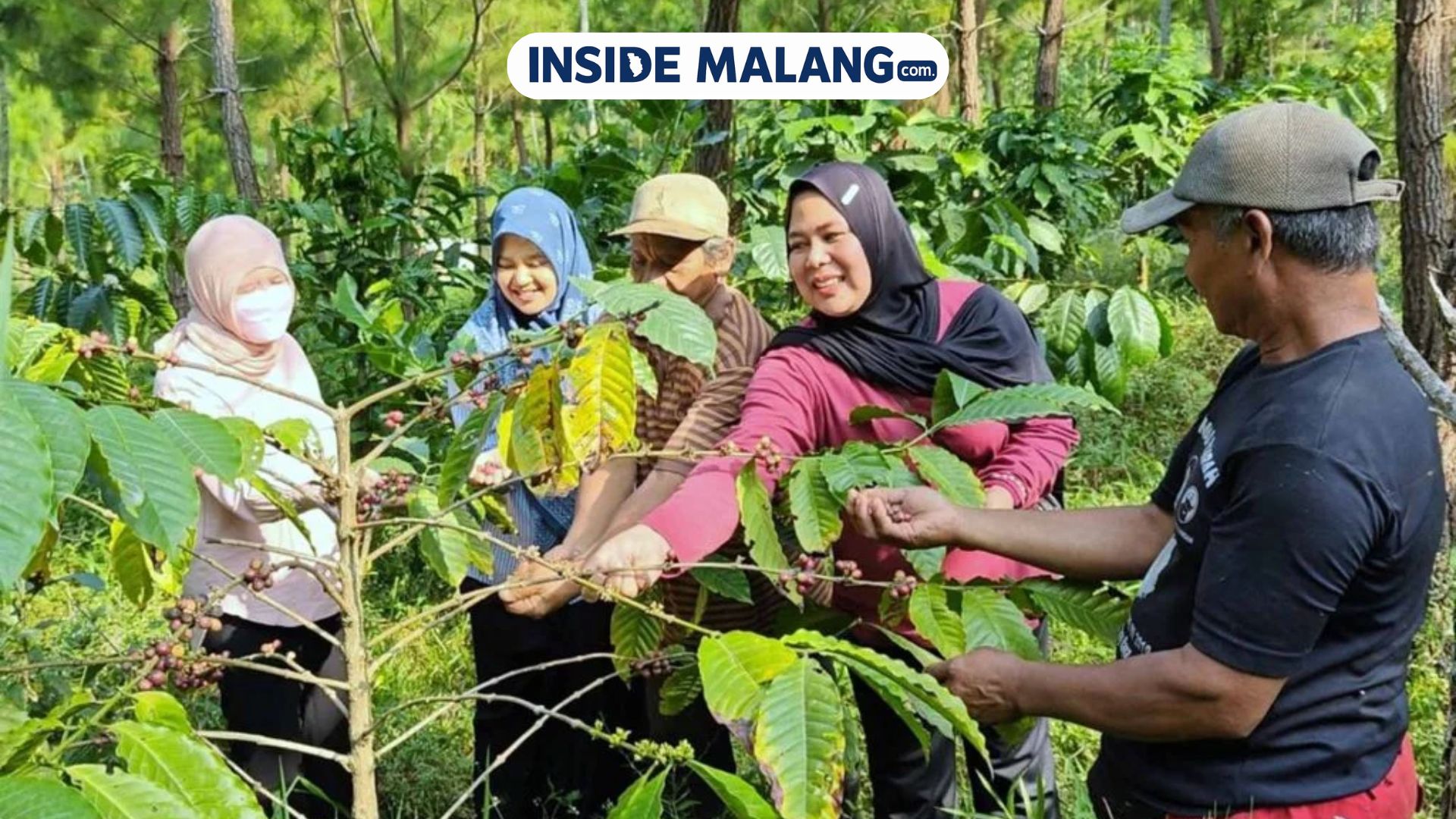 FH UNIKAMA Angkat Kopi Katu Wadung ke Nasional, Libatkan 30 Petani